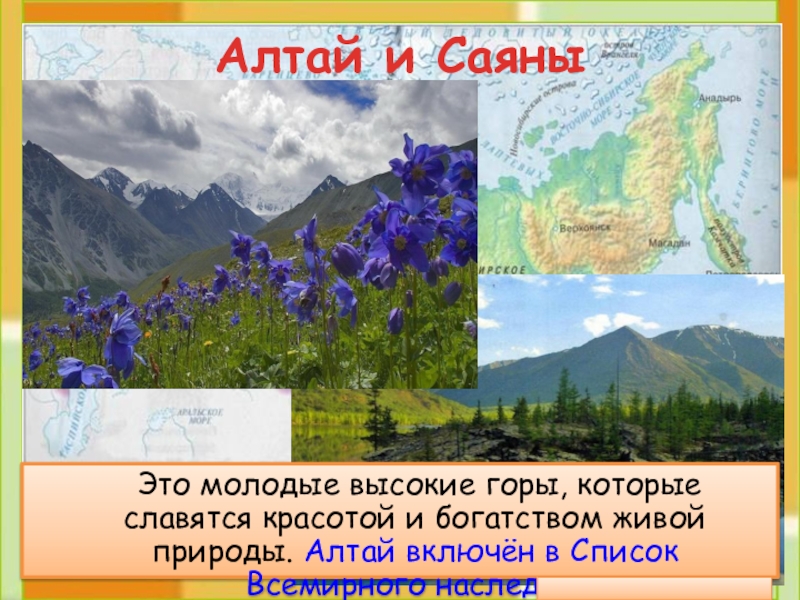 Алтай и Саяны	Это молодые высокие горы, которые славятся красотой и богатством живой природы. Алтай включён в Список