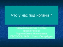 Презентация Что унас под ногами? 1 класс