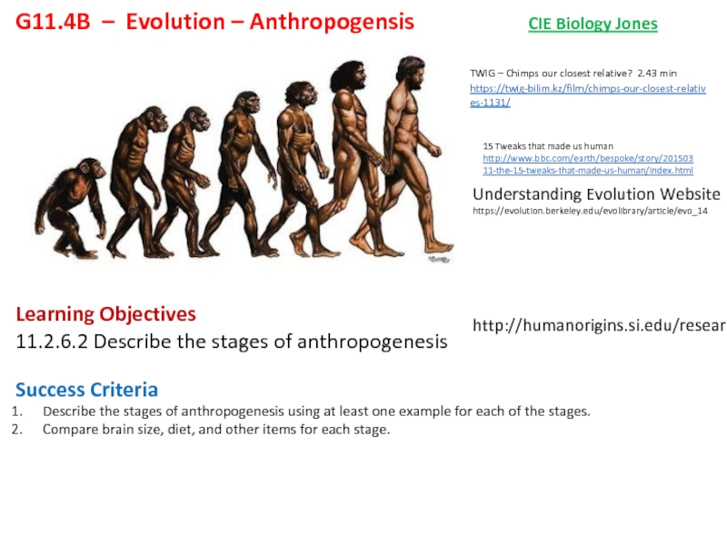 Презентация G11.4B – Evolution – Anthropogensis
Learning Objectives
11.2.6.2 Describe the