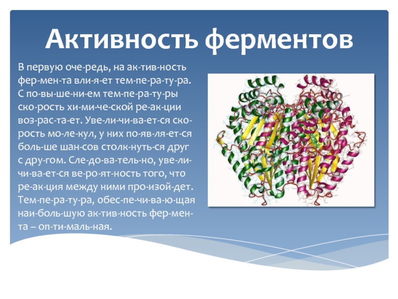 Ферменты презентация по биологии 10 класс