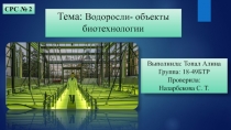 Тема : Водоросли- объекты биотехнологии