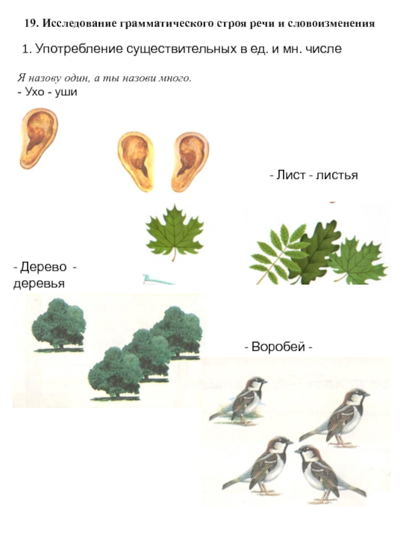 Картинки по исследованию грамматического строя речи у взрослых