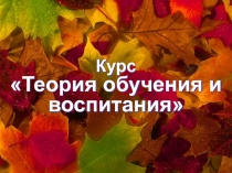 Курс
Теория обучения и воспитания