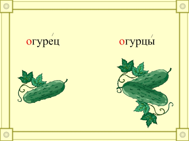 Класс огурцов. Сравни написание слов огурцов огурцов. Корень слова огурец и огуречный.