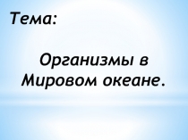 Организмы в Мировом океане.