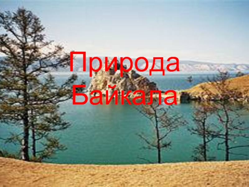 Природа Байкала