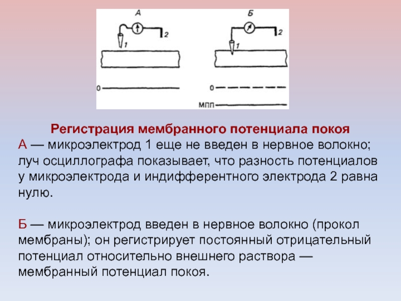 Способы регистрации. Величина и способы регистрации потенциала покоя. Методы обнаружения и измерения потенциала покоя.. Методы регистрации мембранного потенциала. Методы регистрации мембранного потенциала физиология.