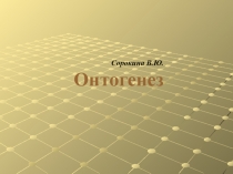 Сорокина В.Ю. Онтогенез