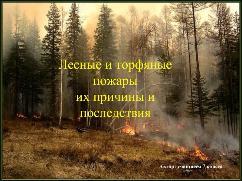 Презентация Лесные и торфяные пожары их причины и последствия