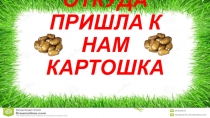 Картошка