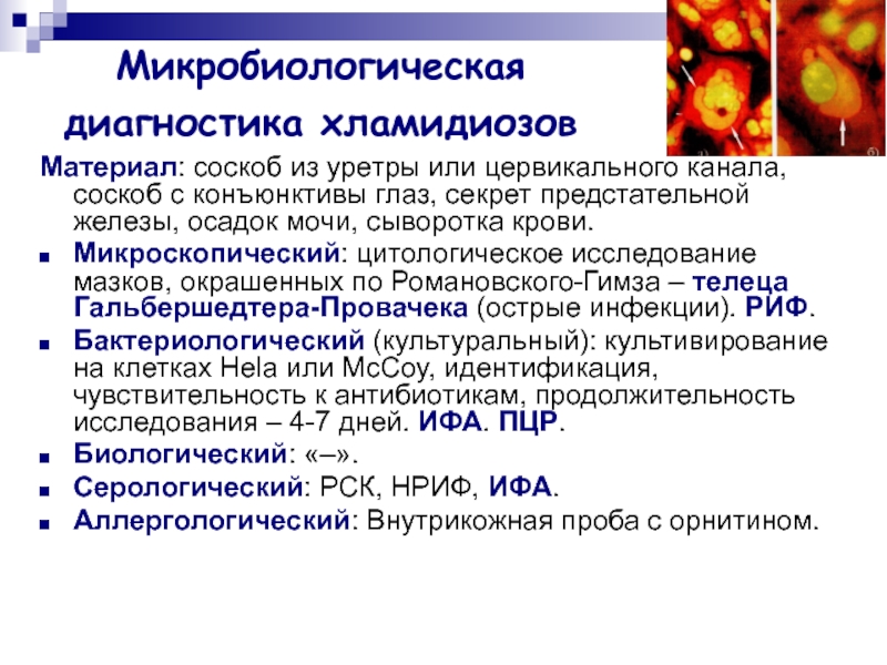 Соскоб хламидия. Цитологическое исследование соскоба с конъюнктивы. Микробиологическая диагностика риккетсий. РСК С риккетсиями Провачека.