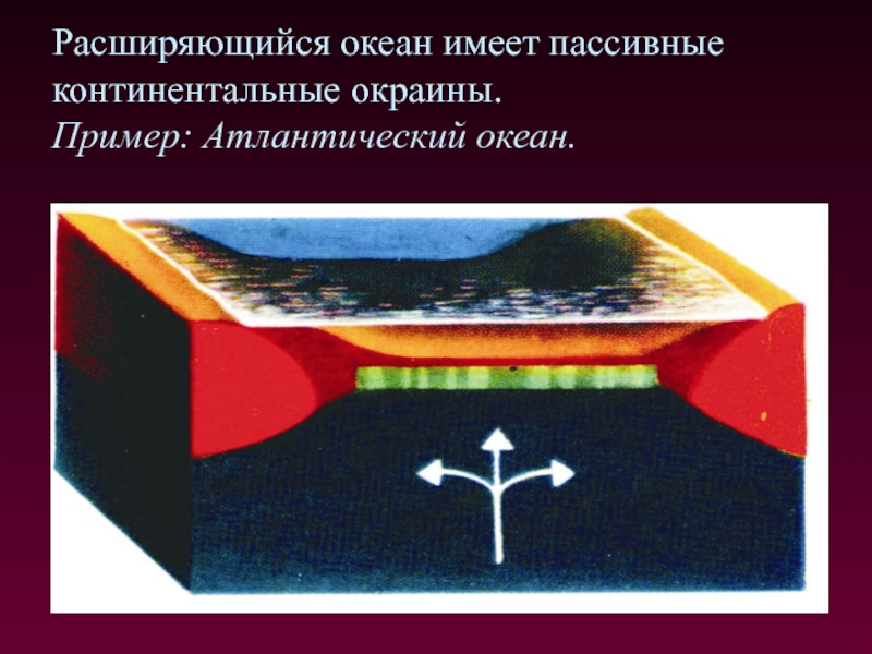 Пассивная Континентальная окраина. Строение активной Континентальной окраины. Активная Континентальная окраина. Пассивная окраина океана.