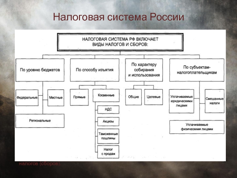 Российская налоговая система проект