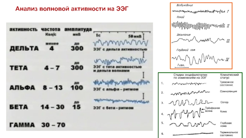 Анализ бп