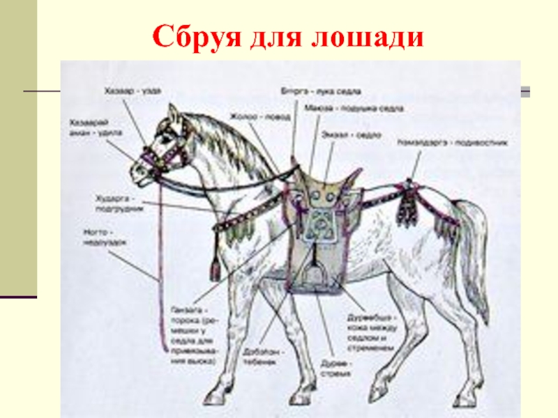 Часть упряжи 5. Упряжь для лошади из чего состоит схема. Упряжь для лошади из чего состоит. Уздечка для лошади сбоку. Сбруя лошади из чего состоит элементы.