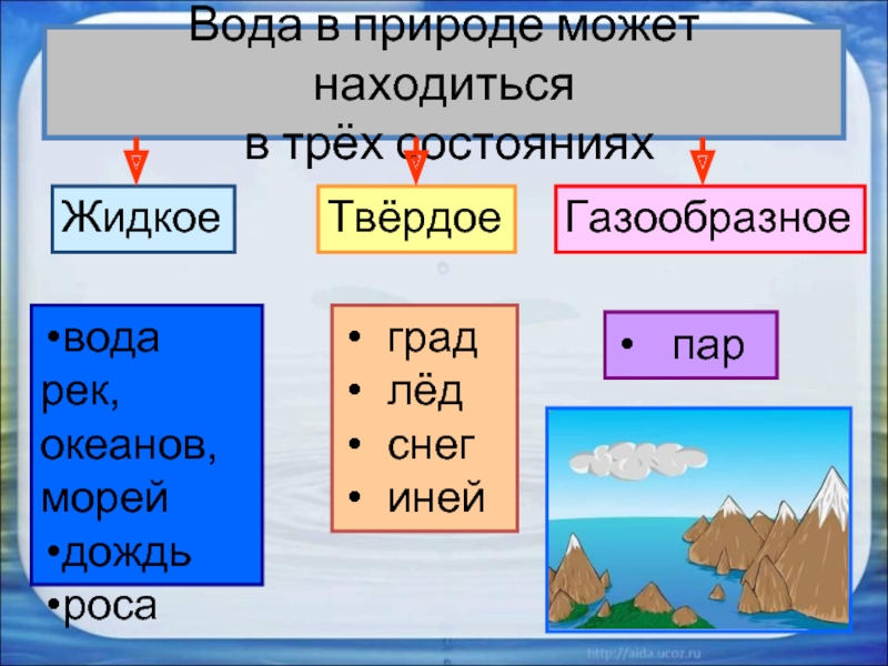 Вода проект 1 класс