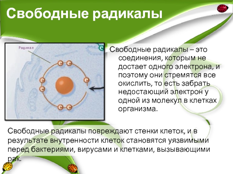 Свободные радикалы в организме человека. Свободные радикалы. Образование свободных радикалов в организме. Свободные радикалы что это такое в организме человека. Свободные радикалы в клетке.