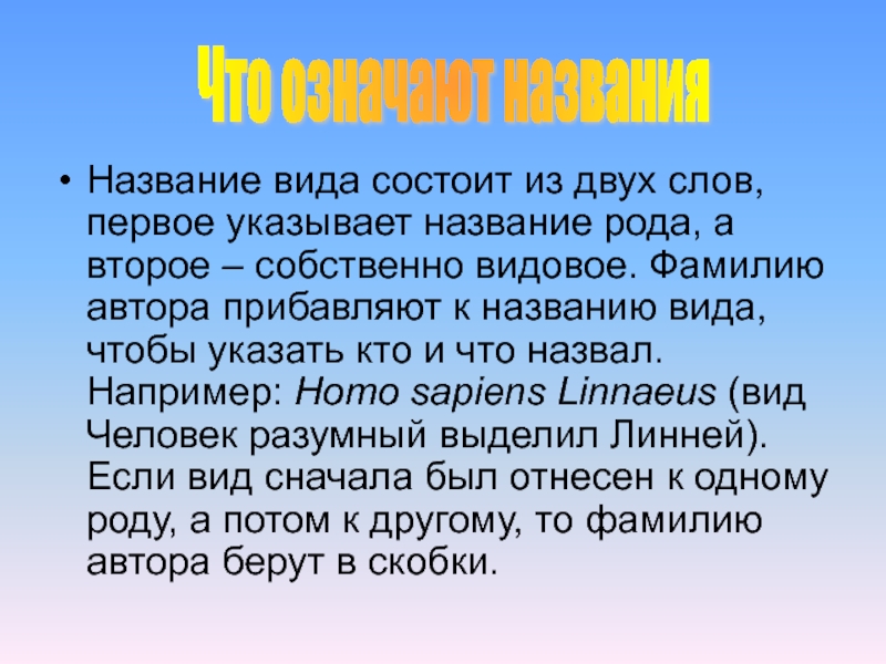 Например называется. Название вида. Виды имен. Вид состоит из.