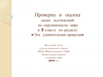 Проверка и оценка достижений по окружающему миру 