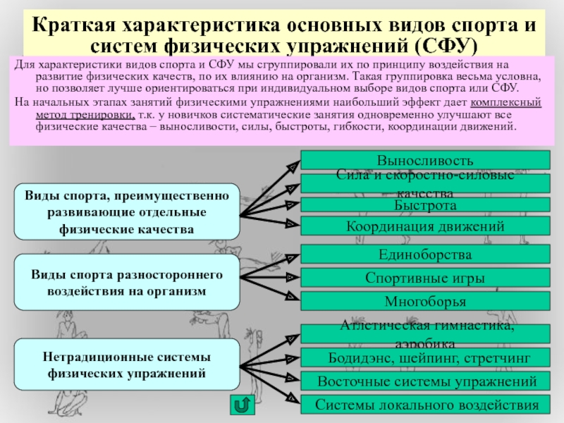 Презентация классификация видов спорта