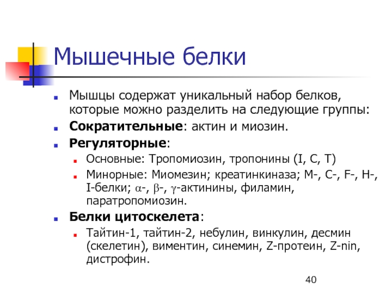 Двигательные белки. Основные мышечные белки. Минорные белки. Мышцы содержат белок.