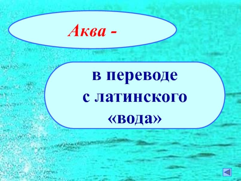 Aqua water перевод. Вода на латинском. Слова с Аква. Аква на латинском. Аква перевод с латинского.