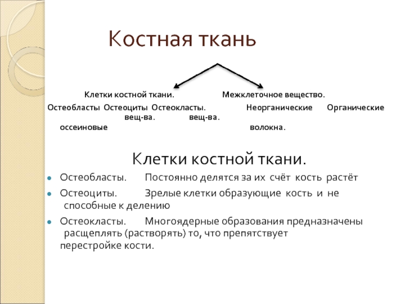 Вещество костной ткани. Костная ткань остеобласты. Межклеточное вещество костной ткани. Костная ткань делится на. Остеобласты межклеточное вещество.