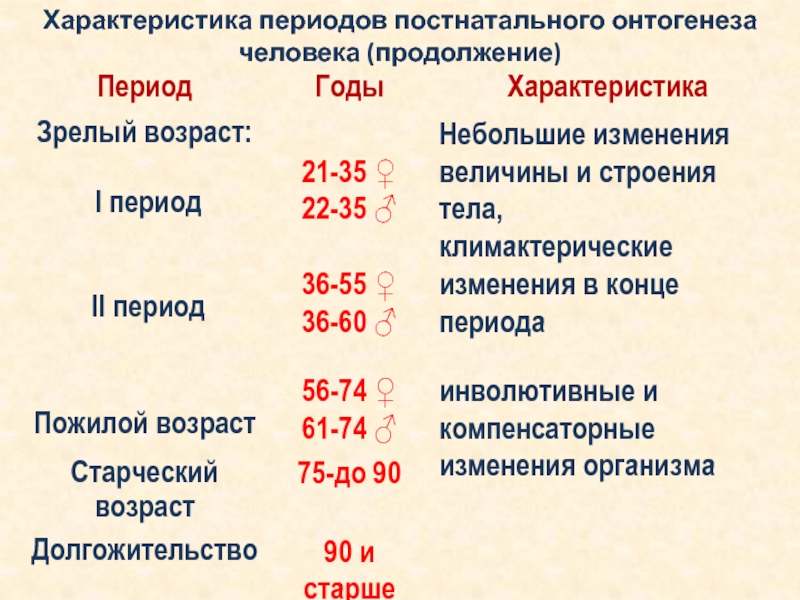 Периодизация особенности