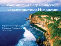 Экономико-демографические характеристики Индонезии