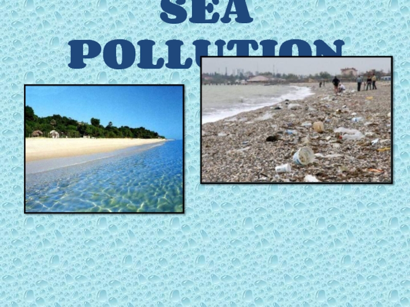 Sea Pollution 8 класс