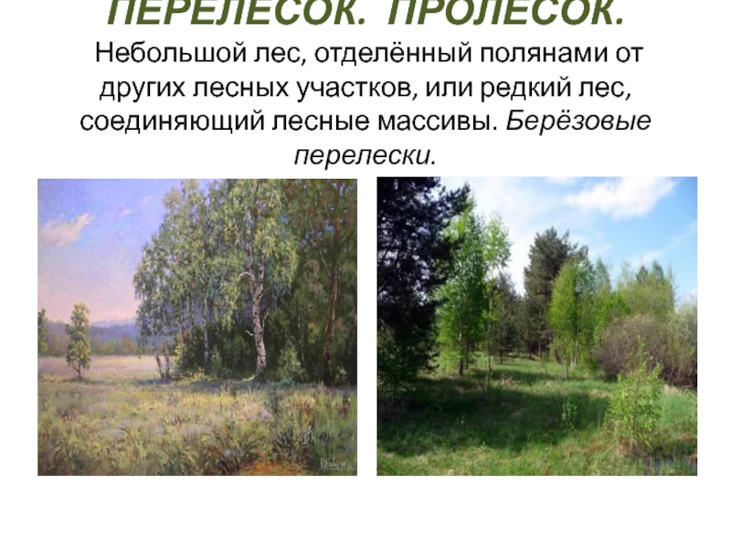 Перелески текст. Слова с корнем лес. Русский голос редкий лес. Перелесок это деревья специально. Перелесок фото и описание.