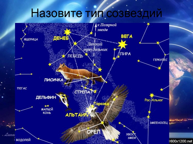 Презентация созвездия звездного неба