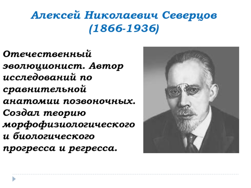 Авторы исследования. Алексей Николаевич Северцов. Алексей Сергеевич Северцов. Северцов теория эволюции. Северцов исследования.