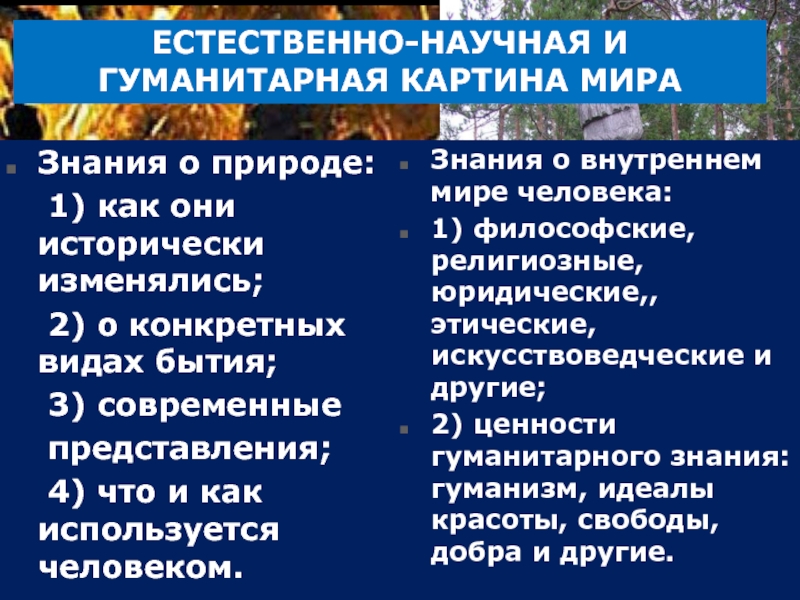 Роль научной картины мира в социально гуманитарных науках