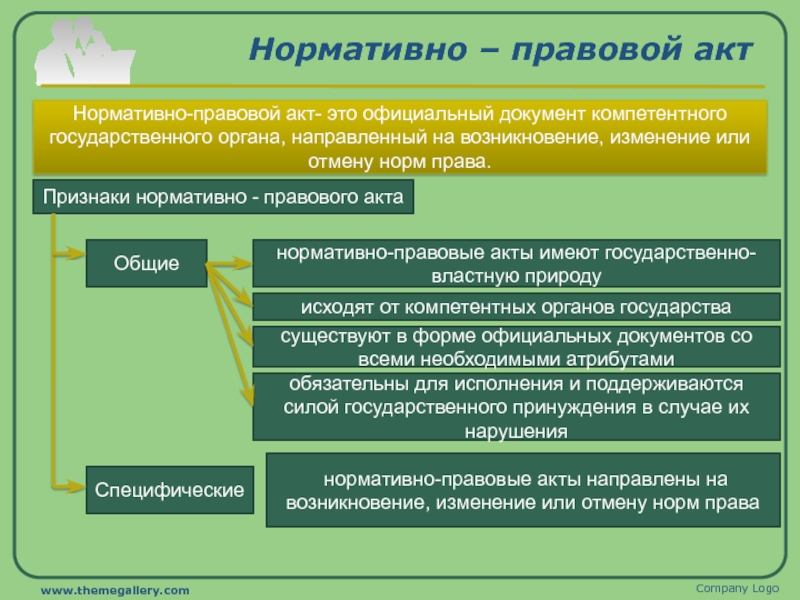 Проект нпа что это