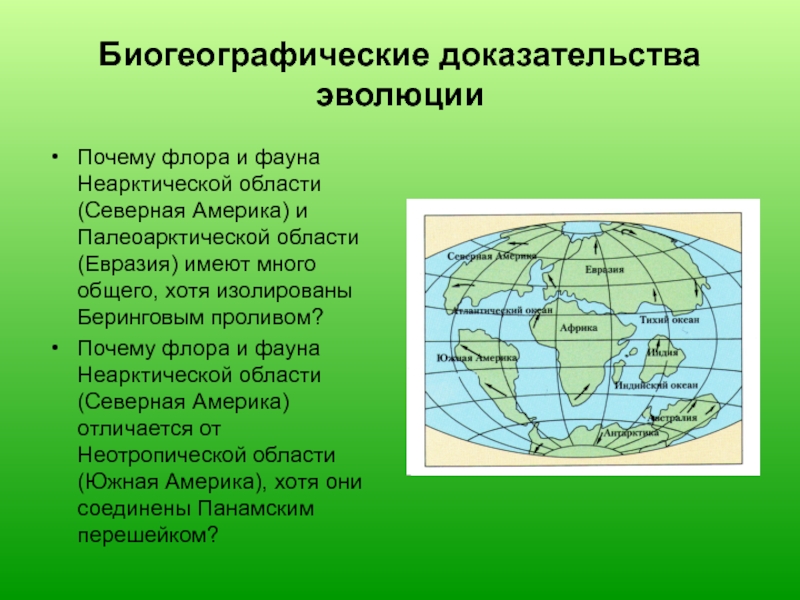 Неотропическая область презентация