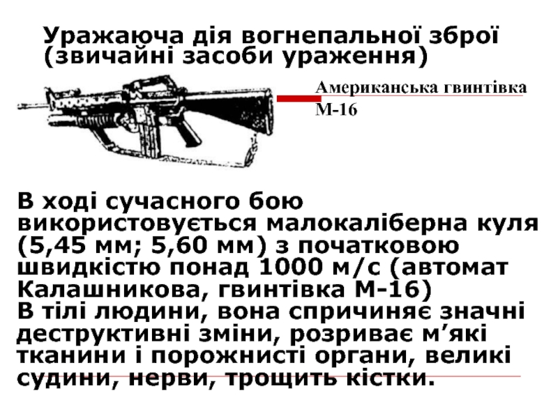 Реферат: Малокаліберна гвинтівка і автомат Калашникова