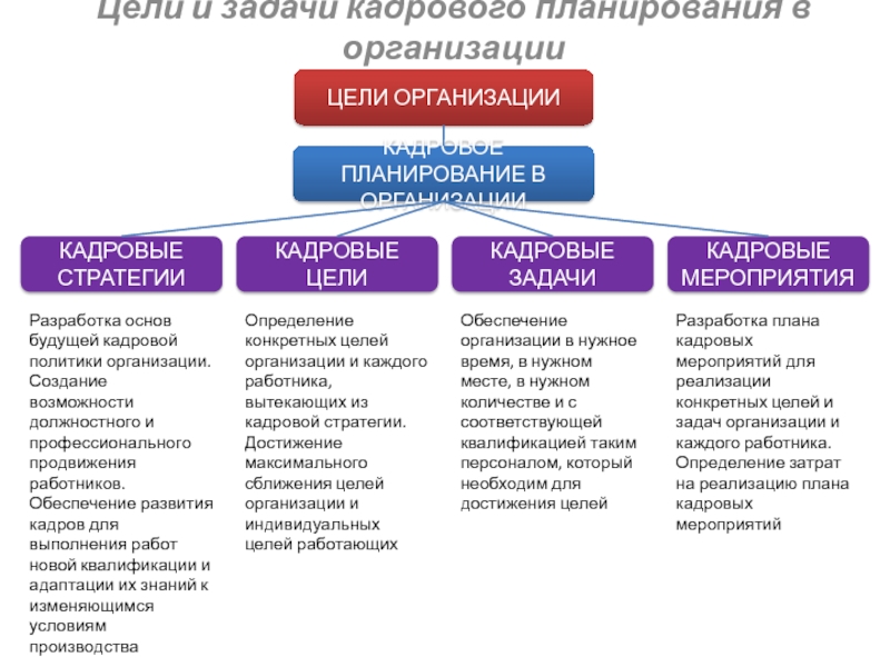 Корректировка проекта кадровой политики осуществляется