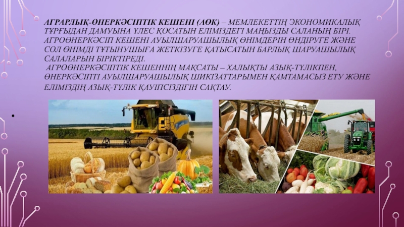 Дүниежүзілік шаруашылықтың салалары ауыл шаруашылығы мен өнеркәсіп презентация