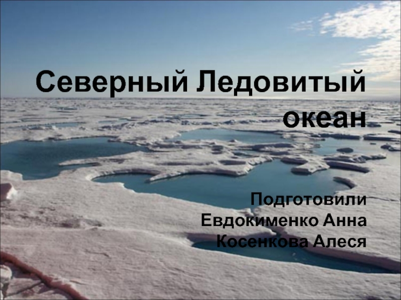 Презентация Северный Ледовитый океан (8 класс)
