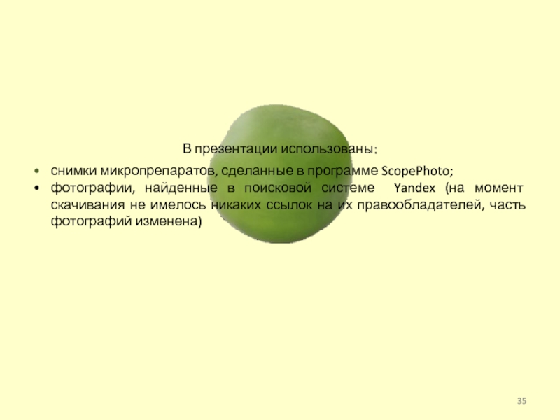 В презентации использованы:снимки микропрепаратов, сделанные в программе ScopePhoto;фотографии, найденные в поисковой системе Yandex (на момент скачивания не