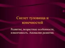 Скелет туловища и конечностей 