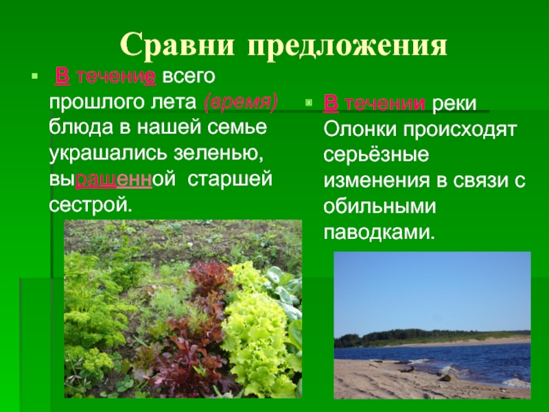 В течении лета сделать. В течение предложение. В течении реки предложение. Предложения с в течение и в течении. Предложение в течение и втечении.