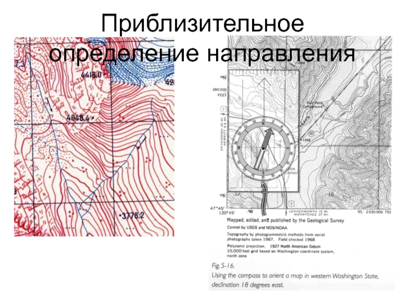 Как определить направление проекта