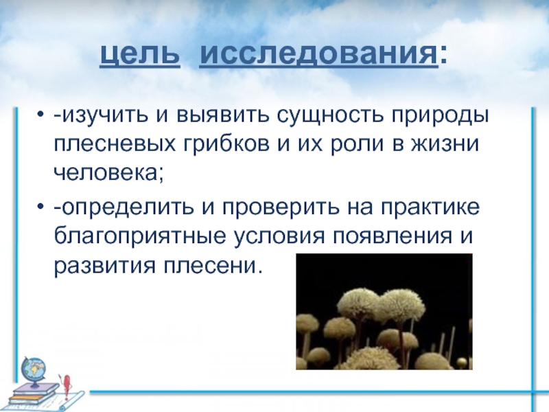 Роль плесневых грибов в жизни человека