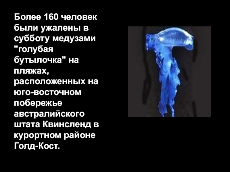 Более 160 человек были ужалены в субботу медузами 