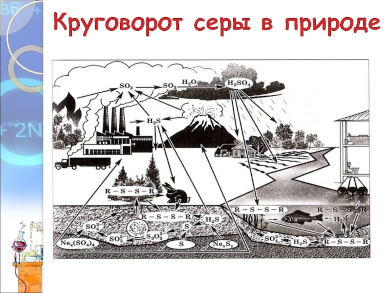 Круговорот серы схема