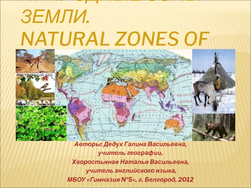 Презентация Природные зоны Земли. Natural zones of the Earth 5 класс