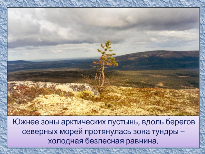 Холодная безлесная равнина