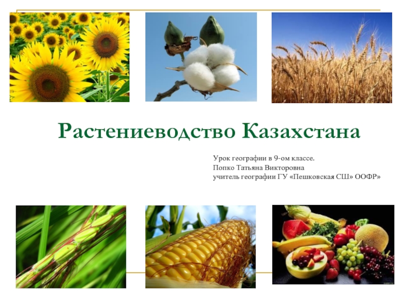 Презентация Растениеводство Казахстана